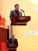 <b>财产链条完整、市场活力充</b>