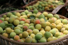 正在全国范畴内位居榜